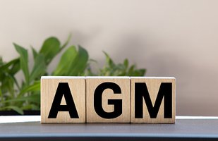 AGM Blocks